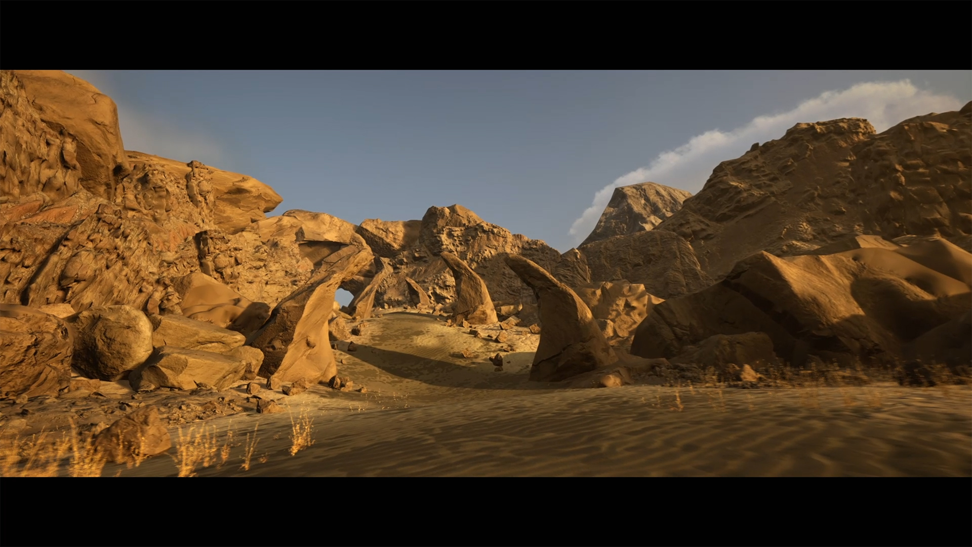 Arid Deserts - Personal Level 